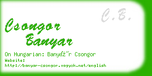 csongor banyar business card